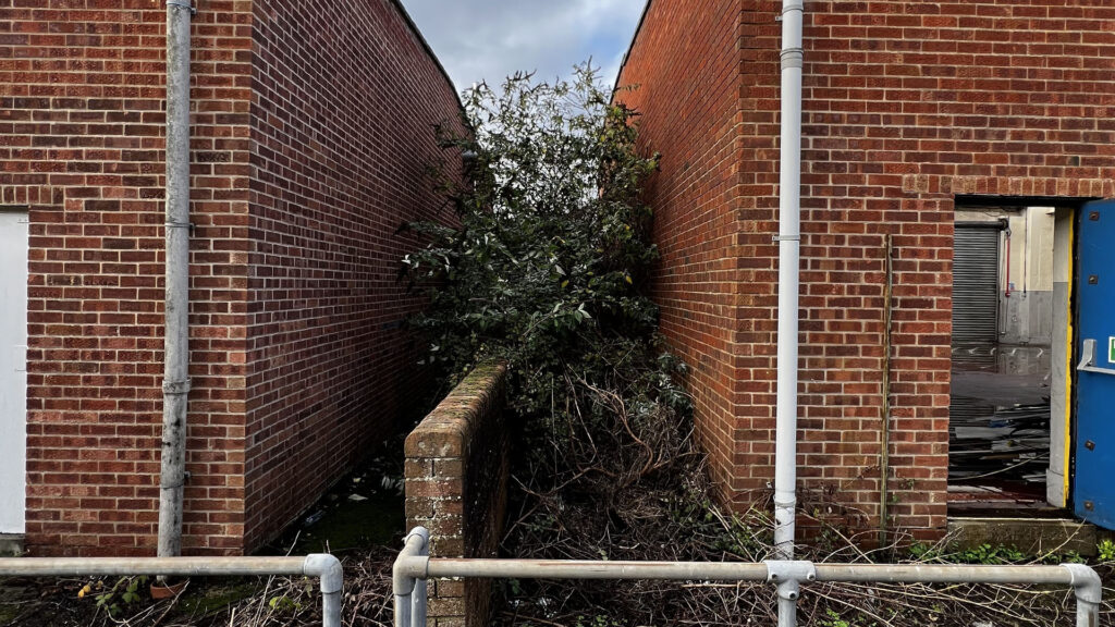 What Happens If You Ignore Party Wall Etiquette Northampton